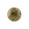 Richelieu 1 3/16 in (30 mm) Oxidized Brass Traditional Metal Cabinet Knob BP2391230163 - alternate 4