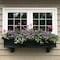 Mayne Rectangle 11.7-in W Large Black Resin Outdoor Window