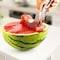 1947Kitchen Easy Watermelon Cutter, Slicer and Server TI-WCAS | Zoro