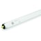 Current Fluorescent Lamp, T8, Very Cool, 5000K F96T8/XL/SPP50 - alternate 1
