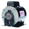 Century Motor, PSC, 1/4 HP, 1100, 115/230V, 48Z, TEAO C045A - alternate 1