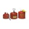 Eagle Mfg Type I Safety Can, Galvanized Steel, 5 gal, Flame Arrestor, Squeeze Handle, Red, Flammables UI50S - alternate 3
