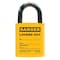 Idesco Padlock Label, 2-1/8inHx1-1/2inW, PK25, LMBBT122AAC LMBBT122AAC - alternate 3
