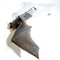 Bird Barrier Bat Removal Cone, Animal Control, 6in. N8-PC30 - alternate 2