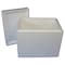 Polar Tech Industries Insulated Shipping Bio Foam & Carton, 1-5 Day, Inside Height: 16 in 266C - alternate 1
