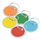 Lucky Line Key Tag, Multi-Color, Metal Alloy, Paper, Metal-Rimmed Ring, 25 PK 28529 - alternate 1