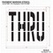 Rae Pavement Stencil, Message, Thru, 36 in Character Height, Highway Gothic Font, Polyethylene, Clear STL-116-73608 - alternate 2