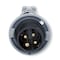 Hubbell Wiring Device-Kellems Watertight Pin & Sleeve Plug, 30 A, 600V AC, Three Phase, 3 Pole, IEC Grounding, Black, NEMA 4X HBL430P5W - alternate 1