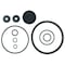 Solo Piston Pump Repair Kit, Viton 0610407K - alternate 1
