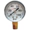Fimco Pressure Gauge, 0 to 100 psi, 2In, 1/4In 5167007 - alternate 2