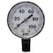 Fimco Pressure Gauge, 0 to 100 psi, 2In, 1/4In 5167007 - alternate 1