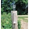 Zoro Select Rain Gauge, 11-7/8X2 In Dia, Clear-Vu 3KLT6 - alternate 3