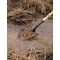 Seymour Midwest Round Point Mud/Sifting Shovel, 14 ga #2 Blade, Steel Blade, Forward Turn Step, 48 in L Yellow 49500GR - alternate 2