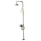 Speakman Emergency Shower Combination, Floor Mount, Stainless Steel Pipe, 93.75 H, Stainless Steel Bowl SE-625 - alternate 1