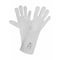 Ansell Chemical Resistant Gloves, Laminated Film, 16 in L, 2.5 mil, White, 10, 1 PR 02-100 - alternate 2