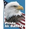 Accuform Safety Poster, Pride In Safety, 22 in H x, 17 in W, Plastic SP124511L - alternate 1