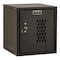 Hallowell Box Locker, 11 3/8 in W, 12 in D, 12 3/4 in H, (1) Tier, (1) Wide, Black HC121212-1DP-K-ME - alternate 1