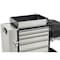 Flexcart FC-100 Rolling Cabinet, 7 Drawer, Black, Stainless Steel, 14-1/4 in W x 37-1/2 in D x 45 in H FC100-ECSS-WT - alternate 2
