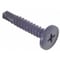 Tappers Self-Drilling Screw, #10 x 1 in, Climaseal Steel Pan Head Phillips Drive, 500 PK 1596553 - alternate 3