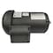 Dayton Three-Phase General Purpose Motor, 2 HP, 56C Frame, 230/460V AC Voltage, 1745 Nameplate RPM 36VF71 - alternate 7