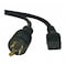 Tripp Lite 10- 12Pwg Power Cord P040-010 - alternate 1