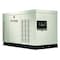 Generac Automatic Standby Generator, Natural Gas/Propane, Single Phase, 22kW LP/22kW NG, Liquid Cooled RG02224ANAX - alternate 1