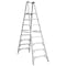 Werner 10 ft Aluminum Twin Platform Stepladder, 300 lb Capacity PT378 - alternate 1