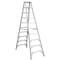 Werner 10 ft Aluminum Twin Stepladder, 300 lb Capacity T310 - alternate 1
