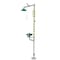 Haws Shower with Eyewash, Floor Mount, Galvanized Steel Pipe, 93 1/4 in H, Plastic Bowl, Green/Yellow 8320-8325 - alternate 6