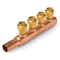 Sharkbite Push Fit Manifold, LF CU, Push Fit, 1 In. W 22998LF - alternate 1