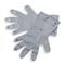 Honeywell North SilverShield - SSG Chemical Resistant Gloves, EVOH, Polyethylene, 14 1/2 in L, 2.7 mil, Silver, 7 SSG/7 - alternate 1