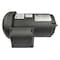 Dayton Three-Phase General Purpose Motor, 3/4 HP, 56C Frame, 230/460V AC Voltage, 1135 Nameplate RPM 4THW8 - alternate 7