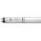Current Fluorescent Linear Lamp, T8, Neutral, 3500K F40T8/SPX35/CVG - alternate 1
