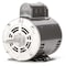 Dayton Motor, PSC, 1/2 HP, 860,115/230V, 48Z, OAO 4YU22 - alternate 1