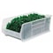 Akro-Mils Storage Bin, Plastic, Clear, 11 in H, 16 1/2 in W, 29 7/8 in L 30293SCLAR - alternate 2