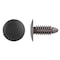 Zoro Select Push-In Rivet, Dome Head, 1/4 in Dia., 13/16 in L, Nylon Body, 100 PK 5625PK - alternate 1