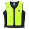 Ergodyne Cooling Vest, Nylon, Evaporative, Up to 72 hr Max Cooling Time, Zipper Closure, 25 in Length, Green 6685 - alternate 1