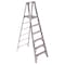 Werner 8 ft Aluminum Platform Stepladder, 300 lb Capacity P376 - alternate 1