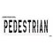 Rae Pavement Stencil, Pedestrian, STL-108-79625 STL-108-79625 - alternate 3