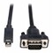 Tripp Lite Mini DPort Cable, 1.2Adapter, VGA, M/M, 10ft P586-010-VGA-V2 - alternate 1