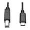 Tripp Lite USB 2.0 Cable, Hi-Speed, Type B-C, M/M, 6ft U040-006 - alternate 1