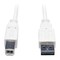 Tripp Lite USB Reversible 2.0 Cable, A to B, M/M, 6ft UR022-006-WH - alternate 1