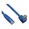 Tripp Lite Cat6 Cable, Right Angle, RJ45, M/M, Blue, 5ft N204-005-BL-DN - alternate 1