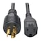 Tripp Lite Power Cord, HD, 5-15P, 5-15R, 15A, 14AWG, 1ft P025-001 - alternate 1
