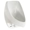 Waterless No-Flush Urinal Waterless Urinal, Wall Mount 2104 - alternate 3