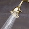 Speakman wall, Shower Head, Polished Brass, Wall S-2005-HB-PB - alternate 3