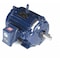 Marathon Cooling Tower Motor, Three Phase, 20 HP, 1,775 Nameplate RPM, 230/460V AC, 256TV Frame 256TTTCD16544 - alternate 1