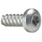 Tamper-Pruf Screws Thread Forming Screw, #2 x 3/8 in, Plain 18-8 Stainless Steel Pan Head Torx Drive, 50 PK 450350 - alternate 1