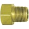 Parker 1/4" Flare x MNPT Brass Connector 25PK 48IFHD-4-4 - alternate 2