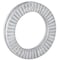 Nord-Lock Wedge Lock Washer, For Screw Size 3/4 in Steel, Advanced Corrosion Resistance Finish, 100 PK 2150 - alternate 1